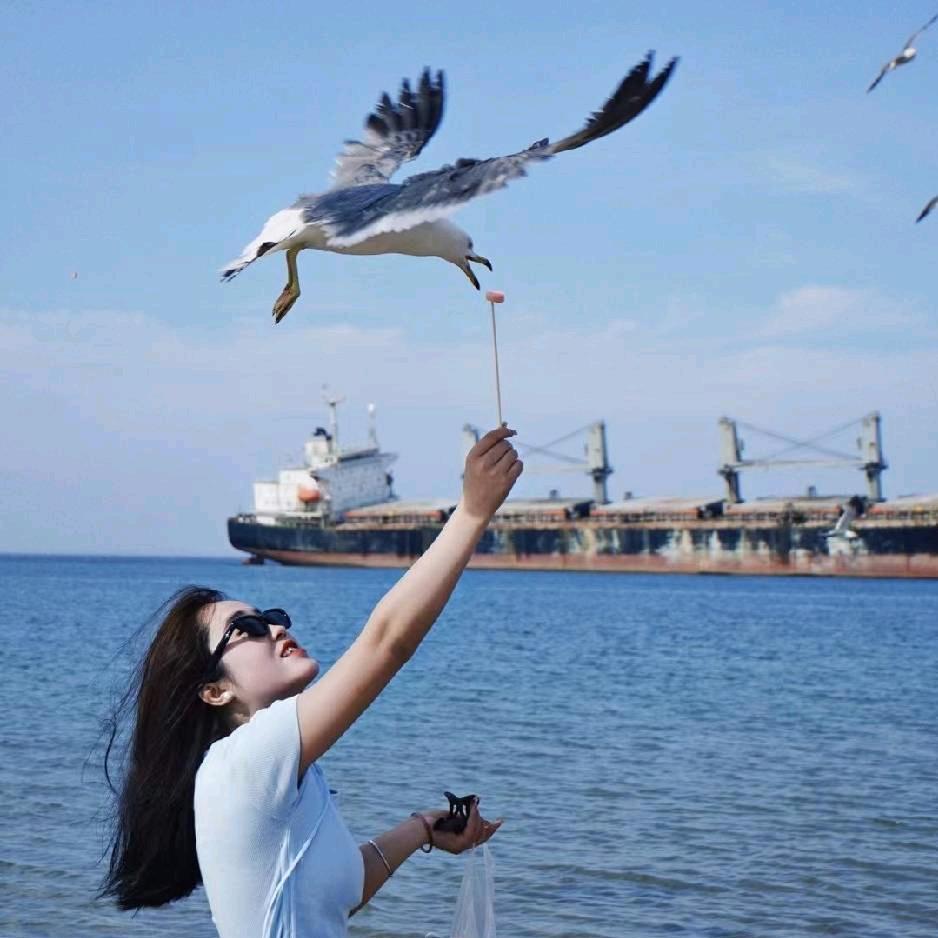 西安驾培范主任