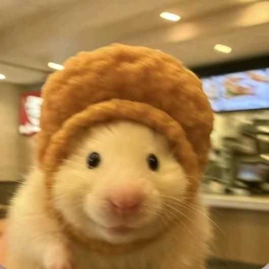 妖孽白、づ Yoon A