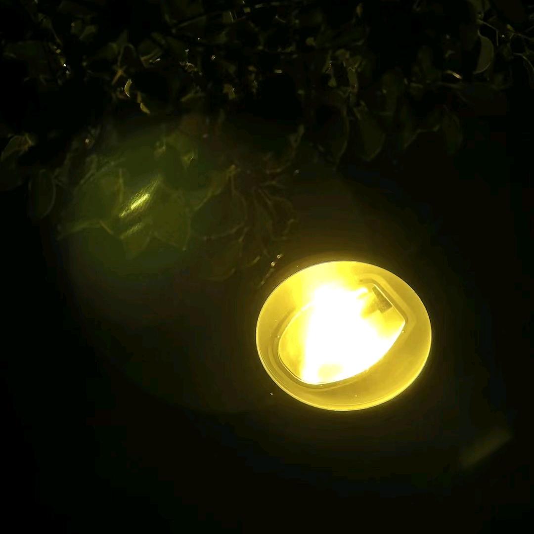 一条大咸鱼。