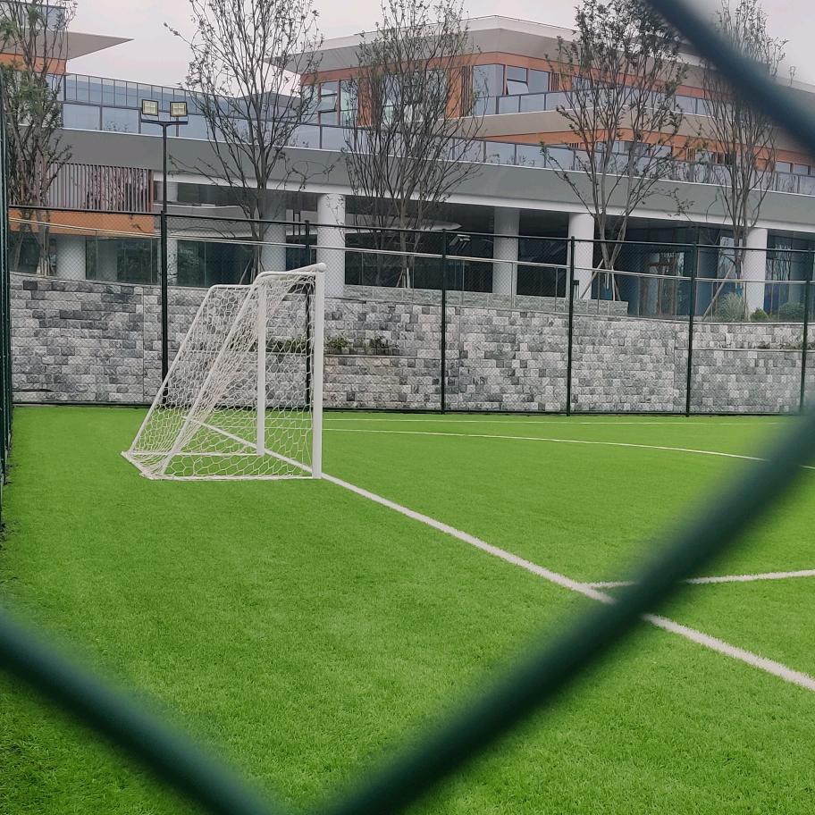 升学规划冷老师