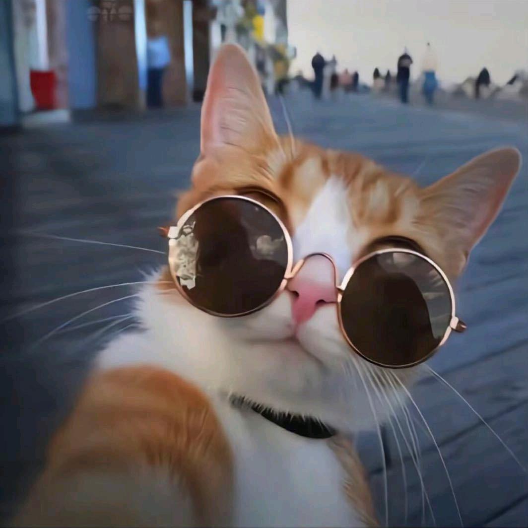 雨夜数星星·☆