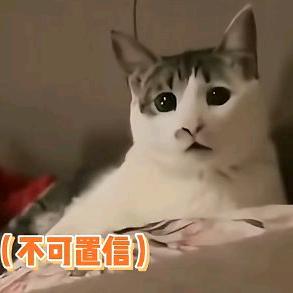 什么玩意儿头像