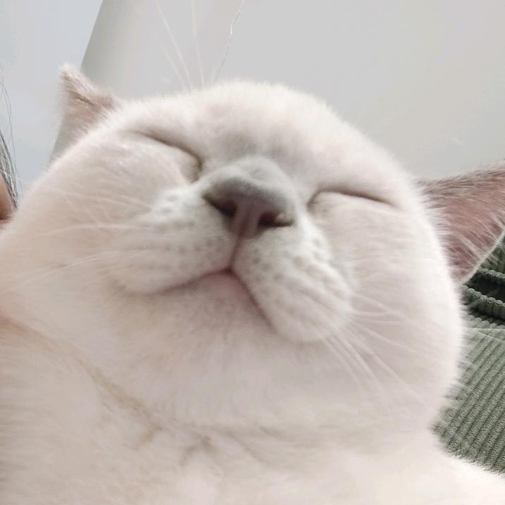 糕手小胡