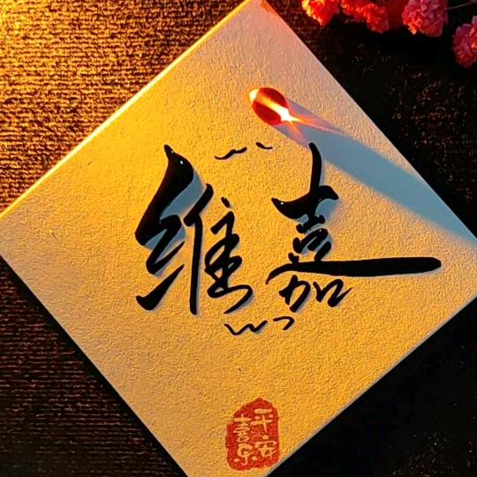 平平淡淡的维嘉