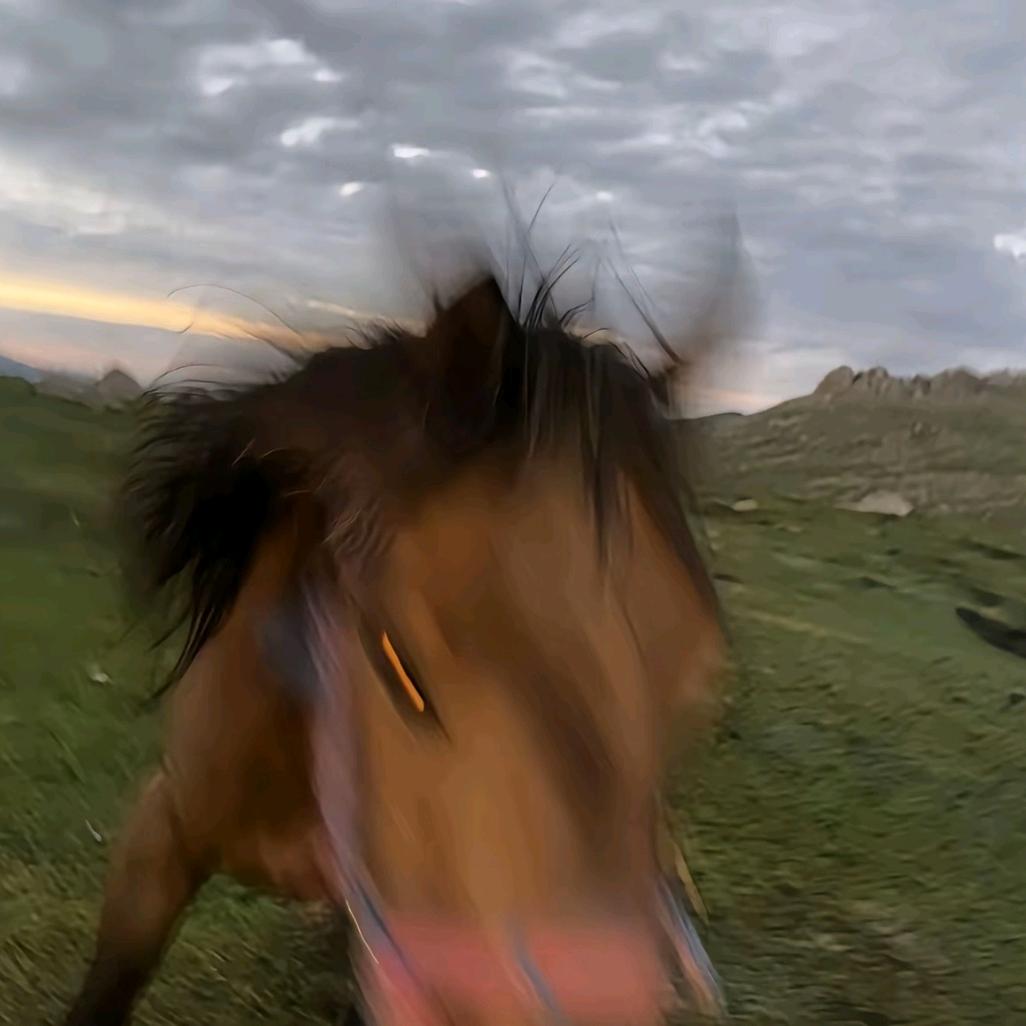 yyyyyyyyyyy