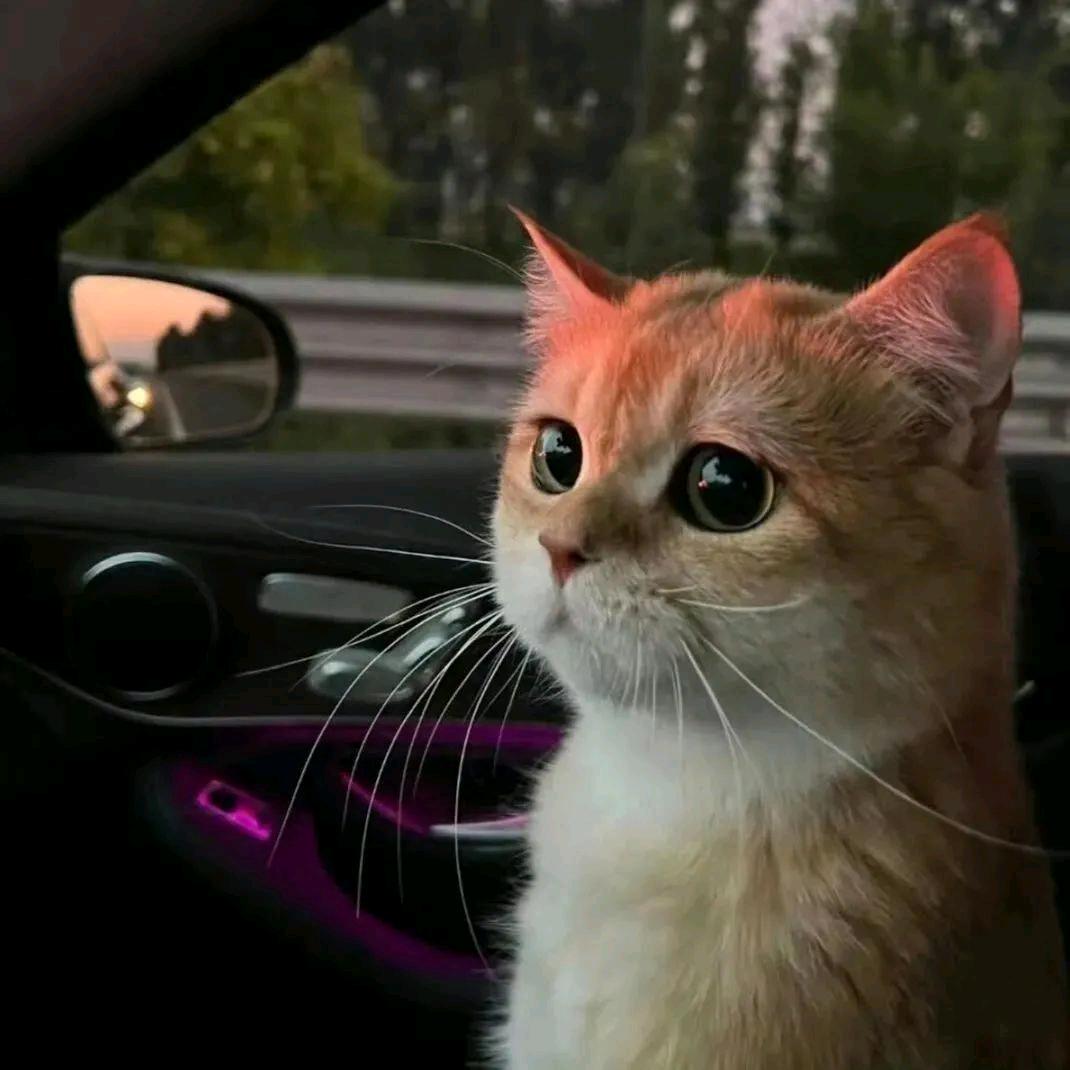 不知道该叫什么名字