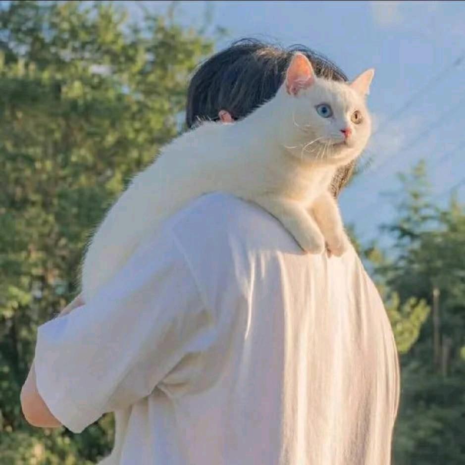前程似永安