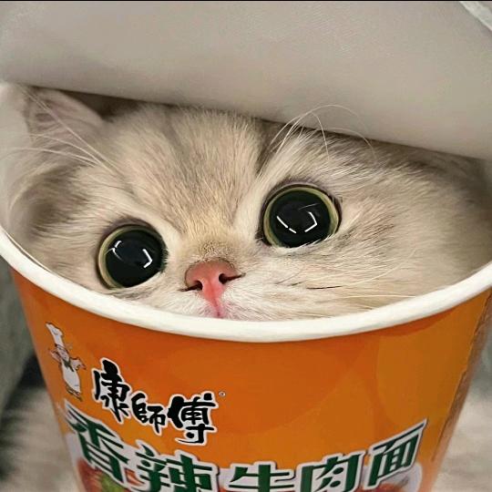会航天的柚子