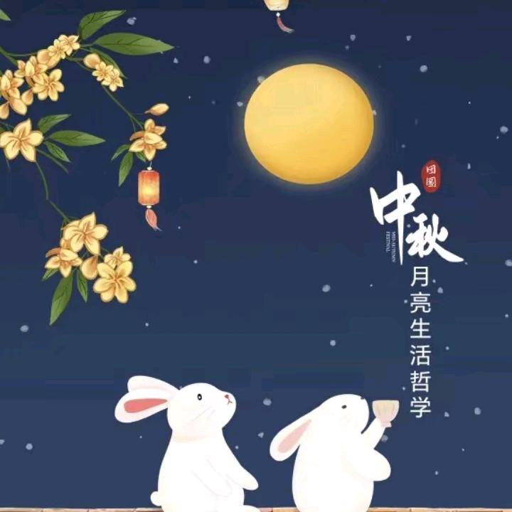 金兔赏月🥮