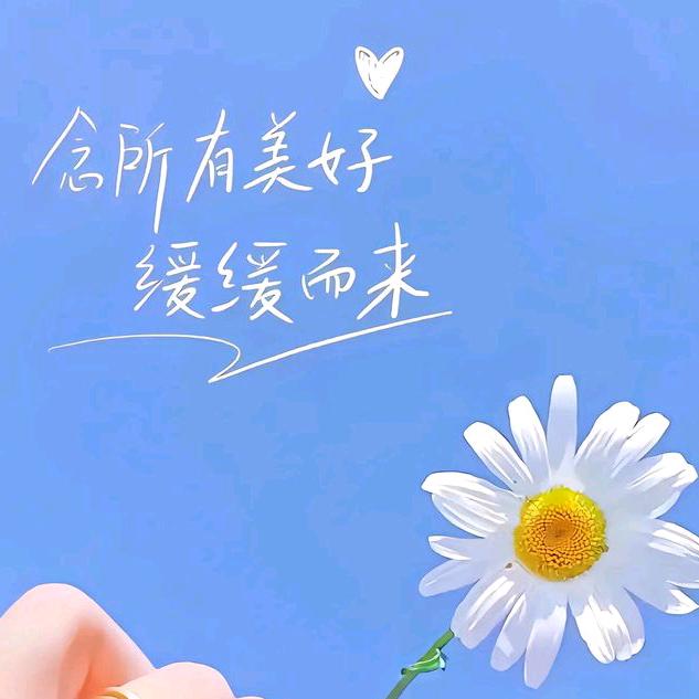 ✰.  半盏清酒༊ღ᭄💞