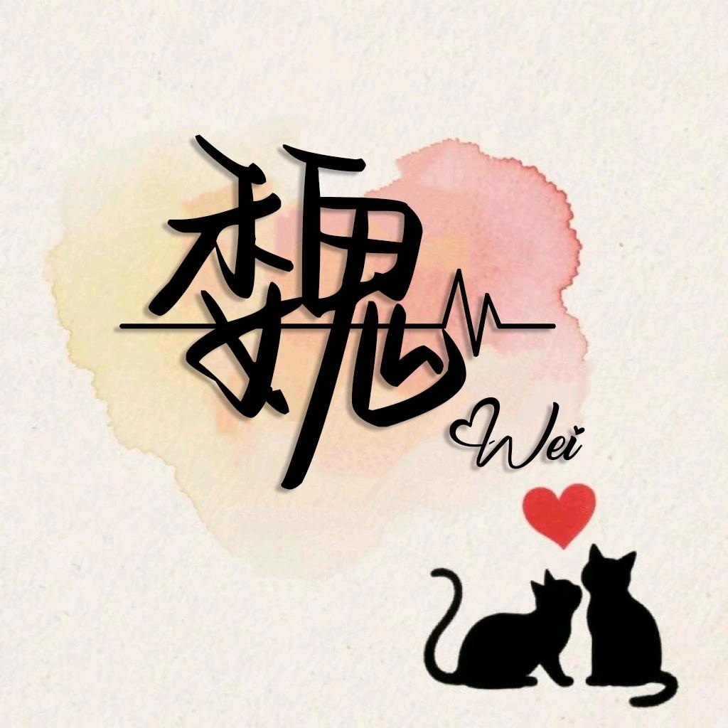 未（魏）来可期