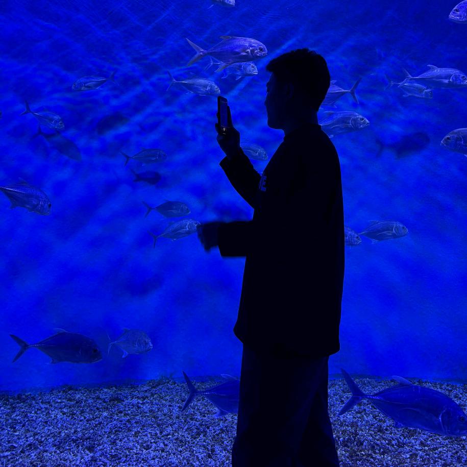 派大星的海洋库