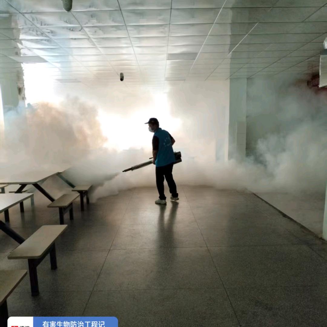 灭老鼠灭蟑螂灭白蚁公司