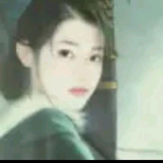豆宝
