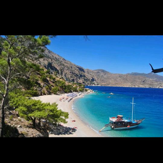 自由自在的生活