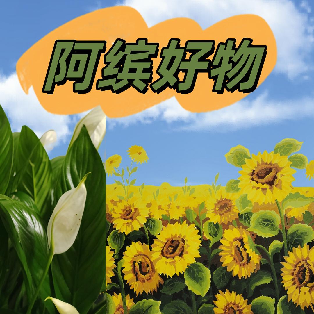 阿缤好物