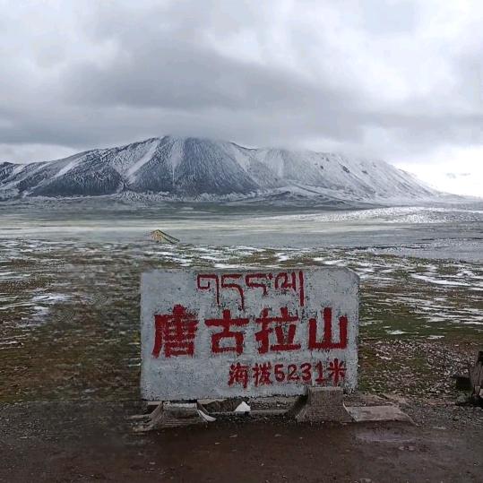 愿所愿皆所得