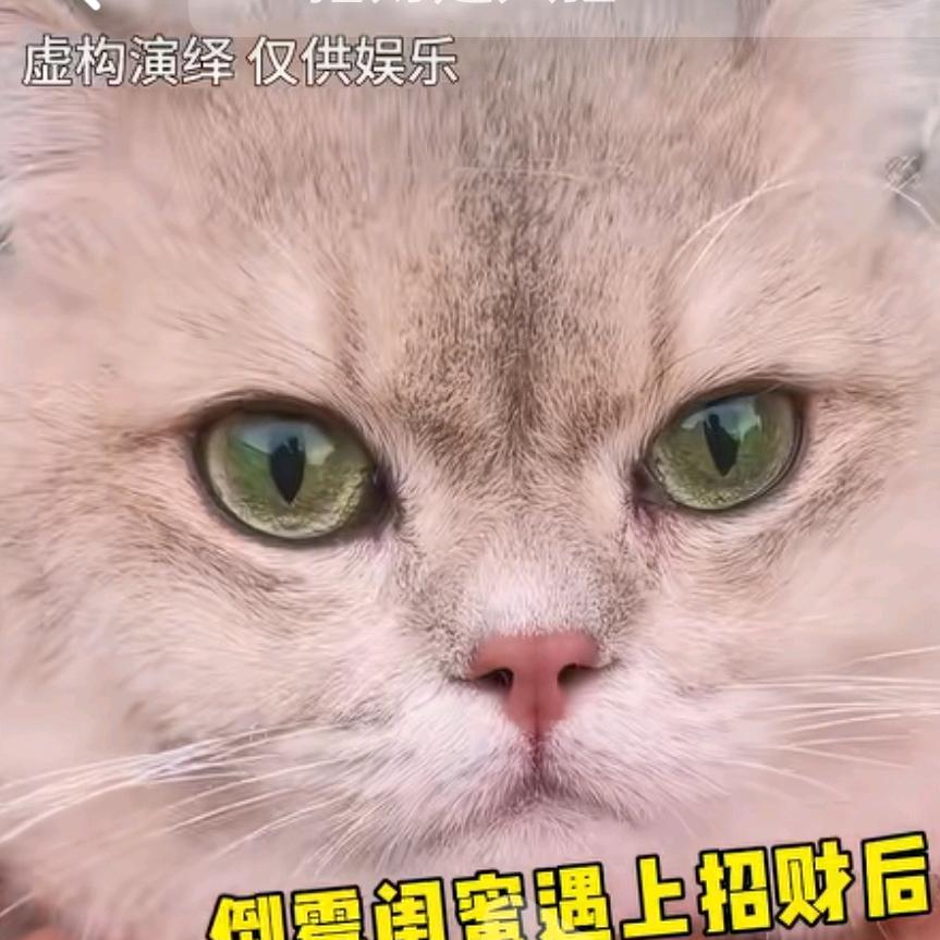 我不想知道