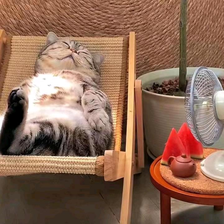 云逝