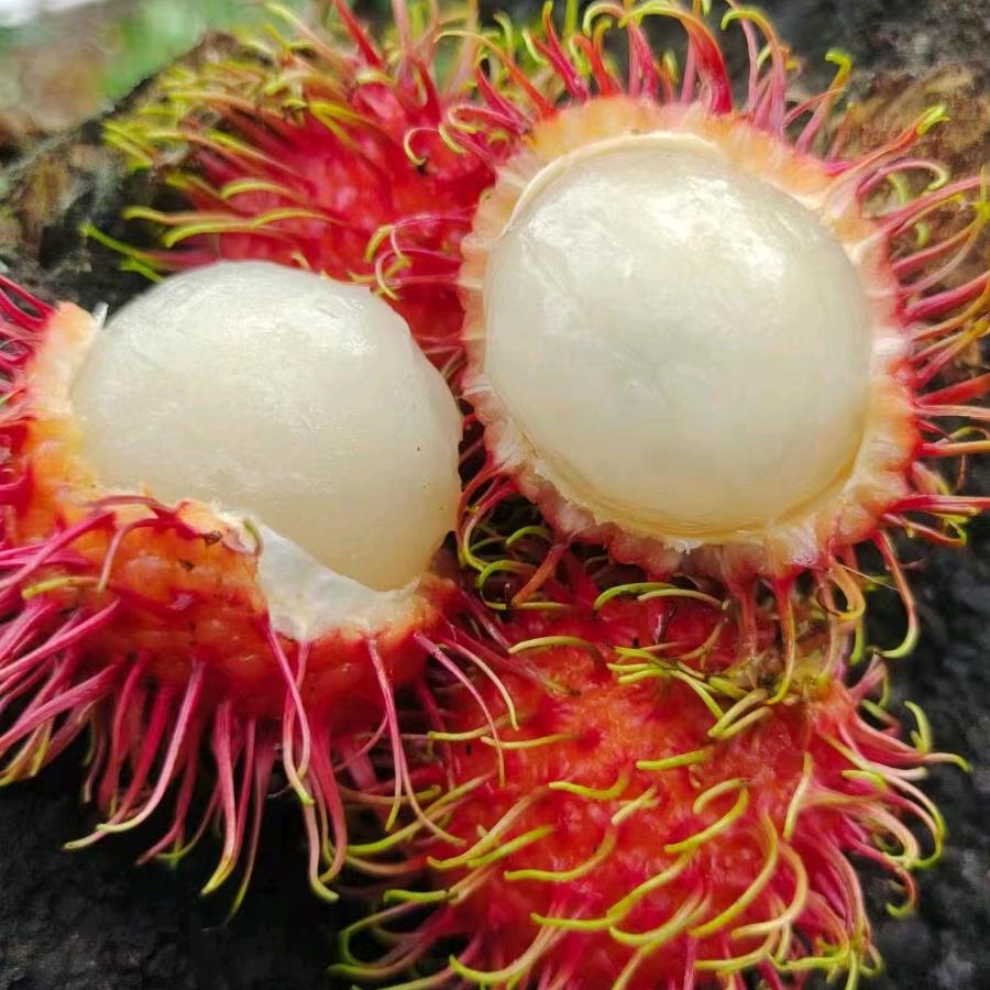 海岛椰乡特产店