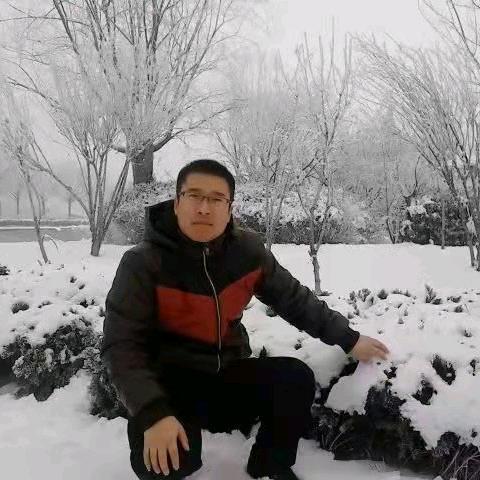 墩墩宠物