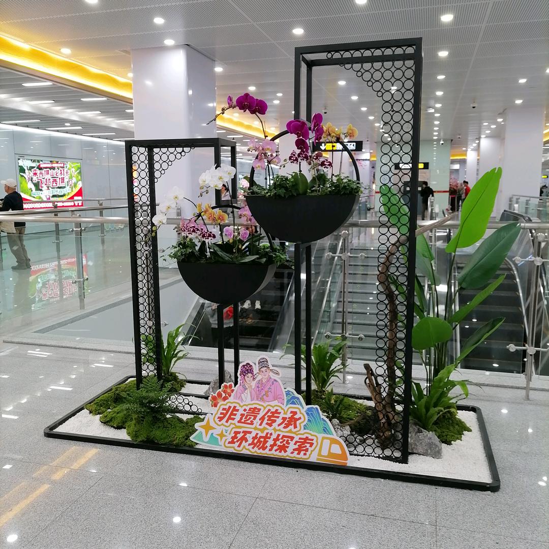 用户哥👑
