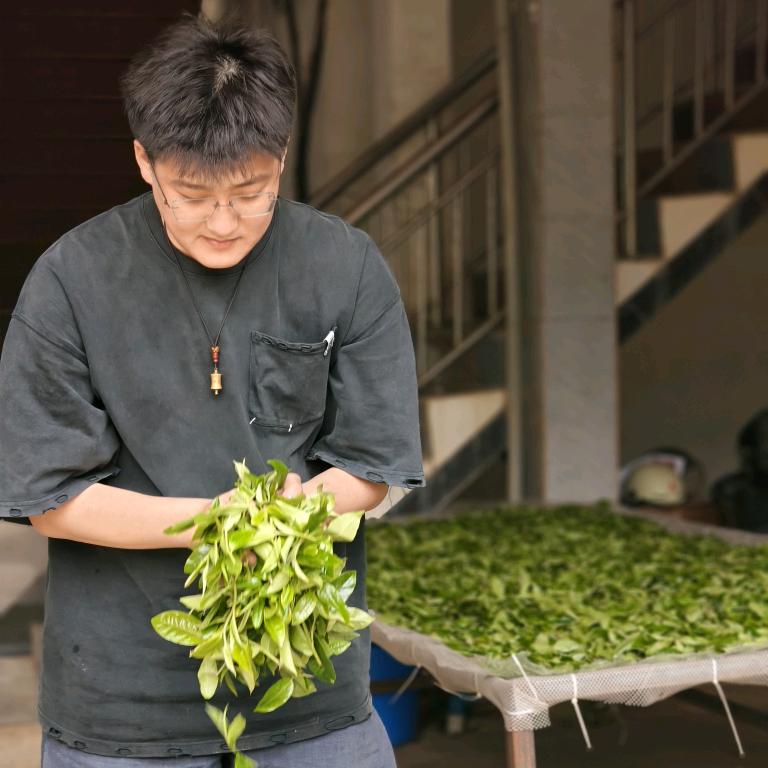 奇佬博（普洱古树纯料茶）