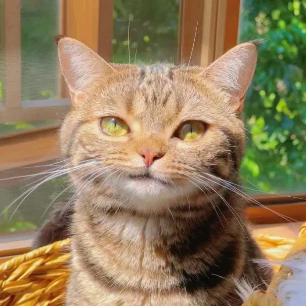 三月开始学唱歌