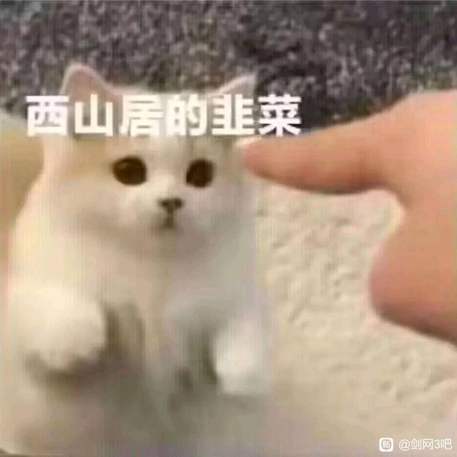 重生之pve灵素之不如不重生