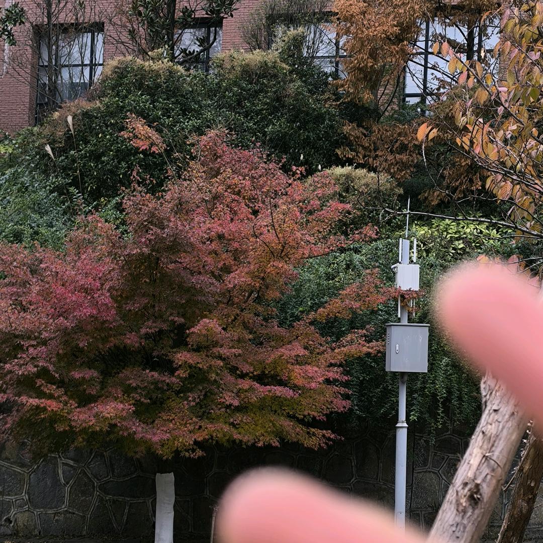 🏊‍♂️🏄‍♂️🚣‍♀️