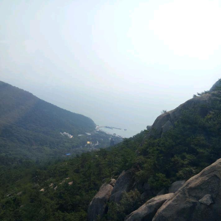 树欲静而风不止