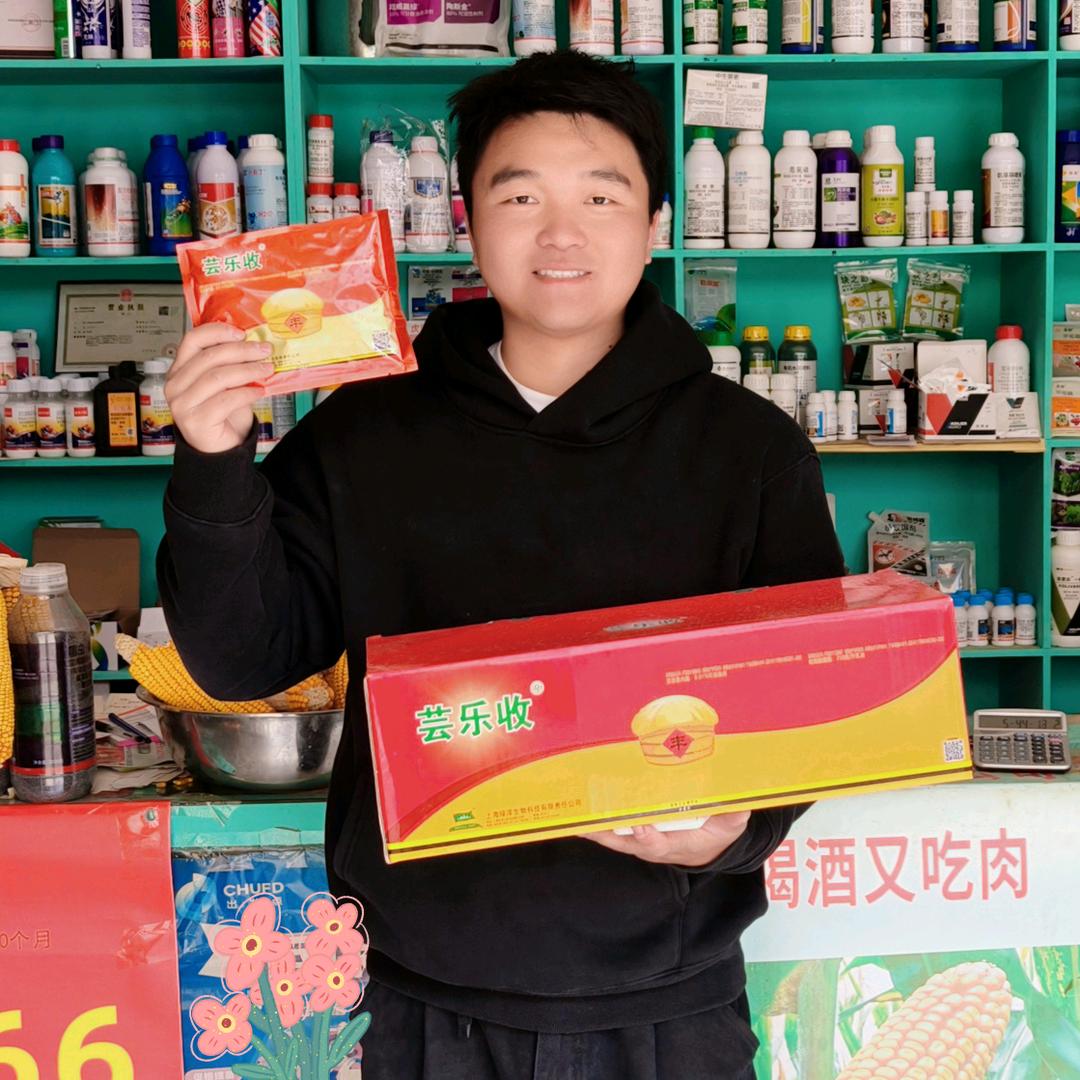 提质增产在寻甸🌾-芸乐收小陈