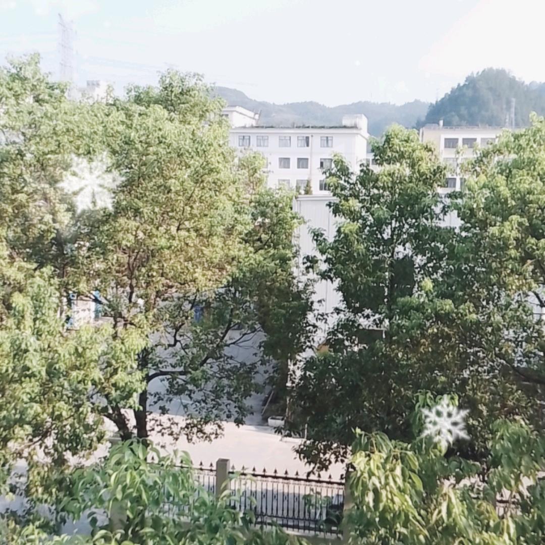 邵水泉