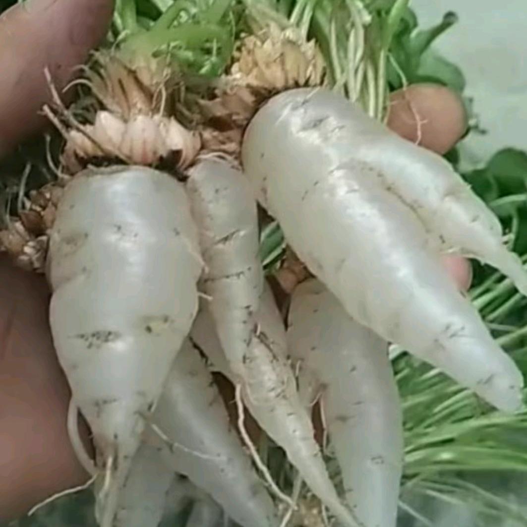 情断奈何桥