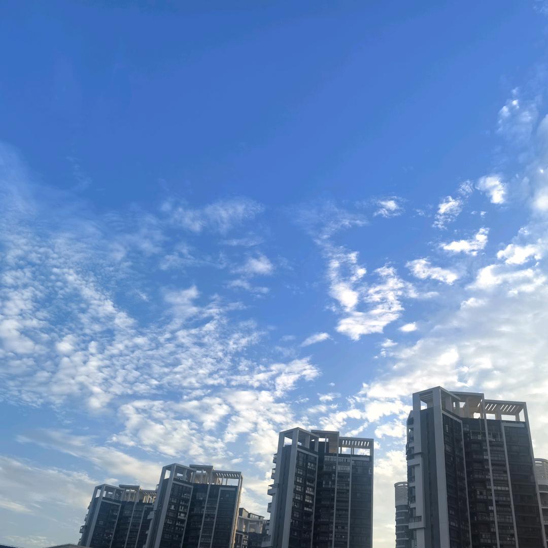 掌门小新