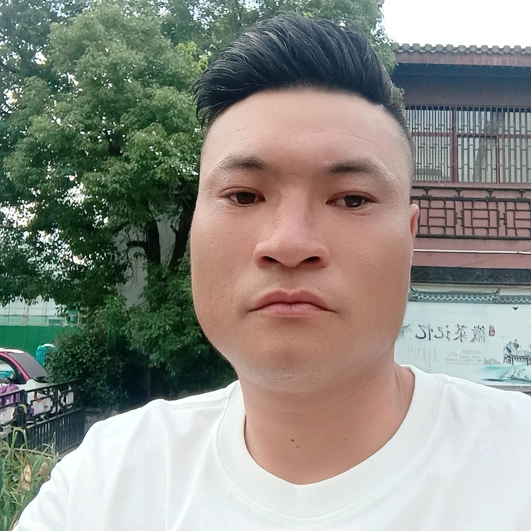 单身罗总