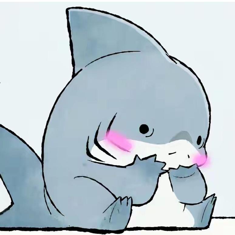 🦈🦈🦈