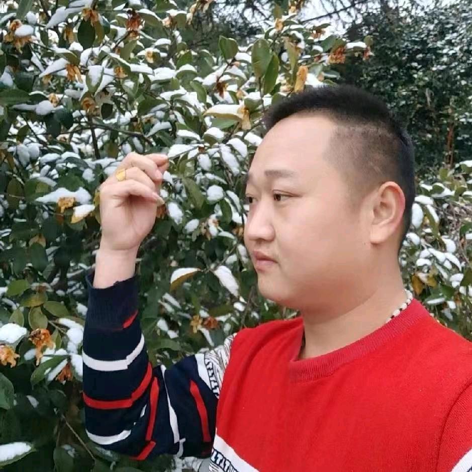 我是糖糖2