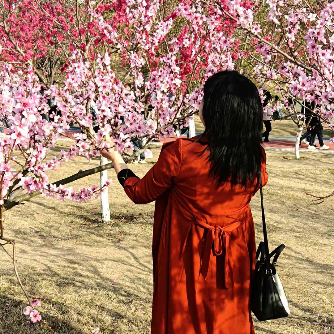 有缘人🌹🌹🍎🍎❤️❤️❤️