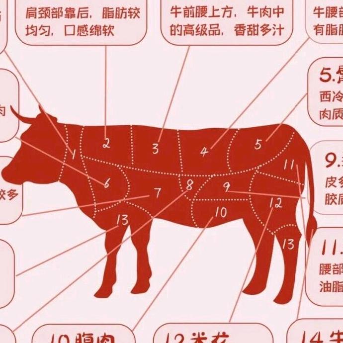 龙头战法