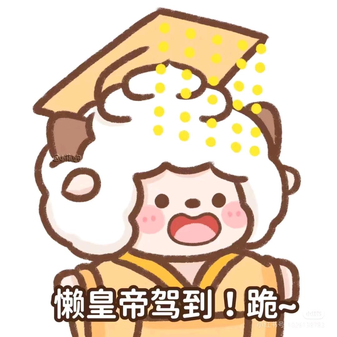 四叶草的小星星