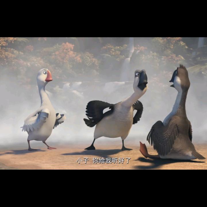 月亮的学习分享