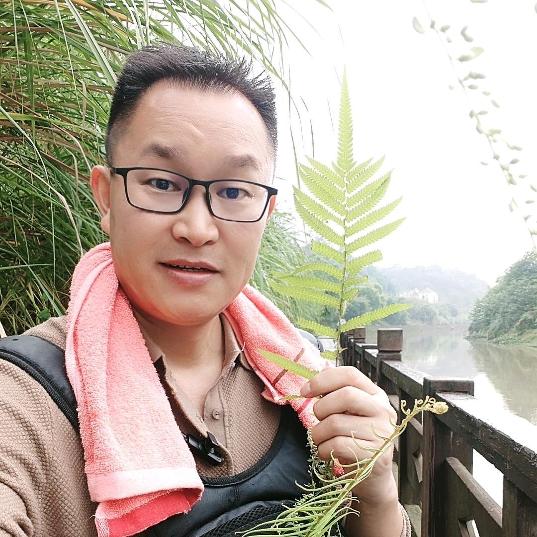 瑶乡阿宝(16:35 首播)
