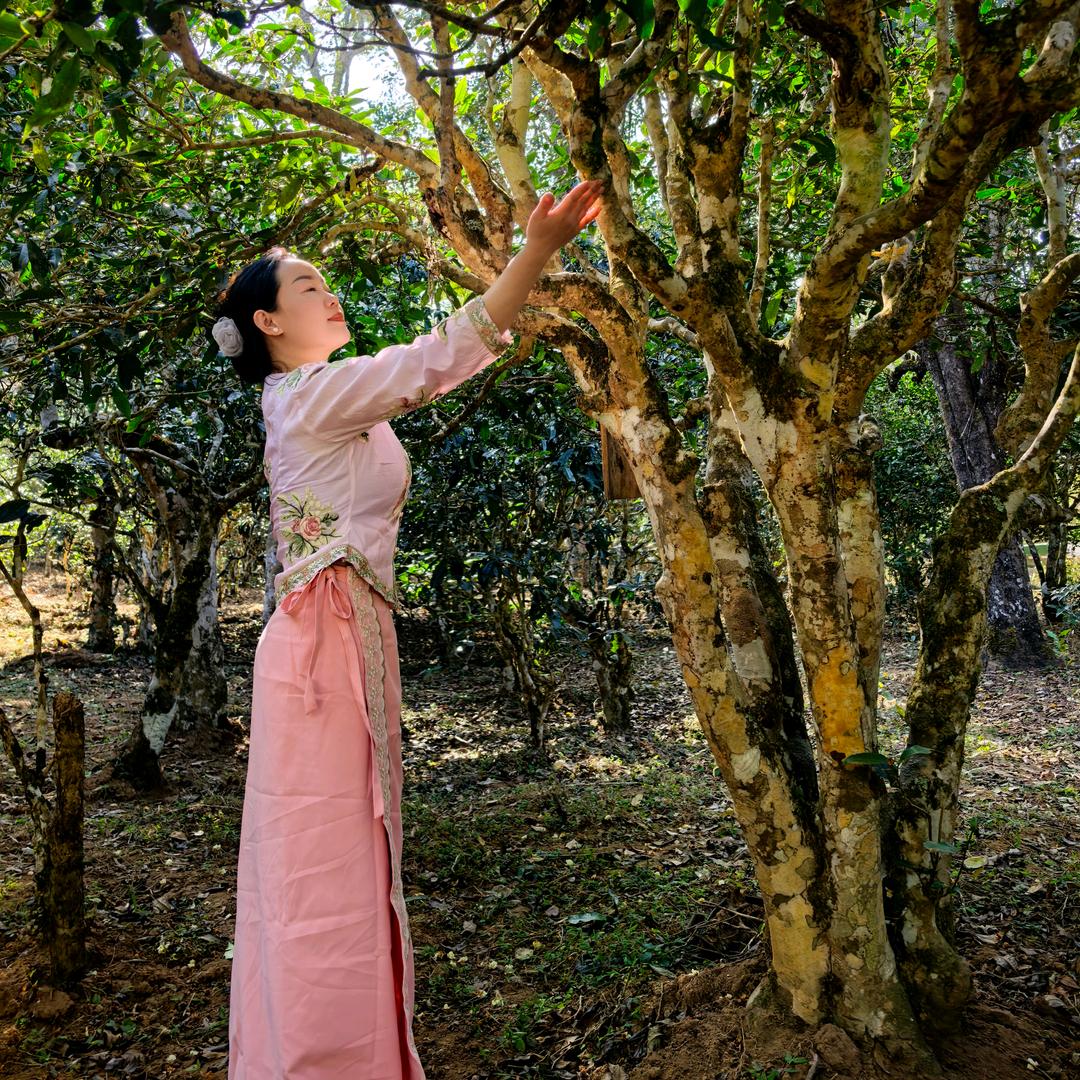 🍃南方姑姑🍃