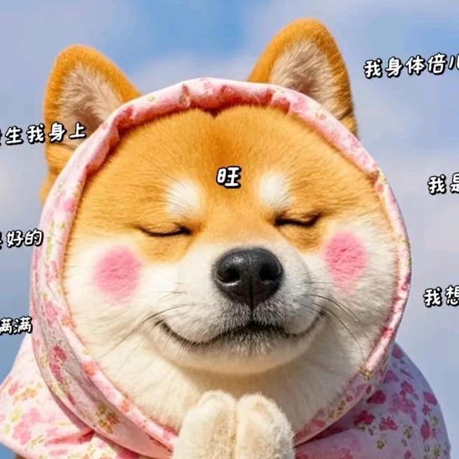 芊芊爱吃鱼🌈