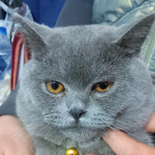 我心永恒赵老板