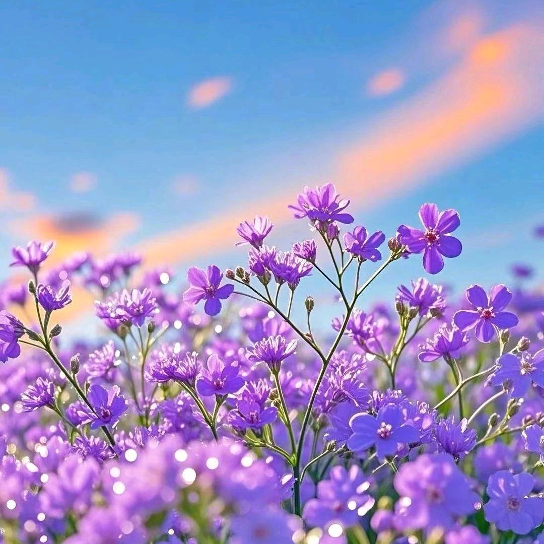 💞心已归零余生安好💞