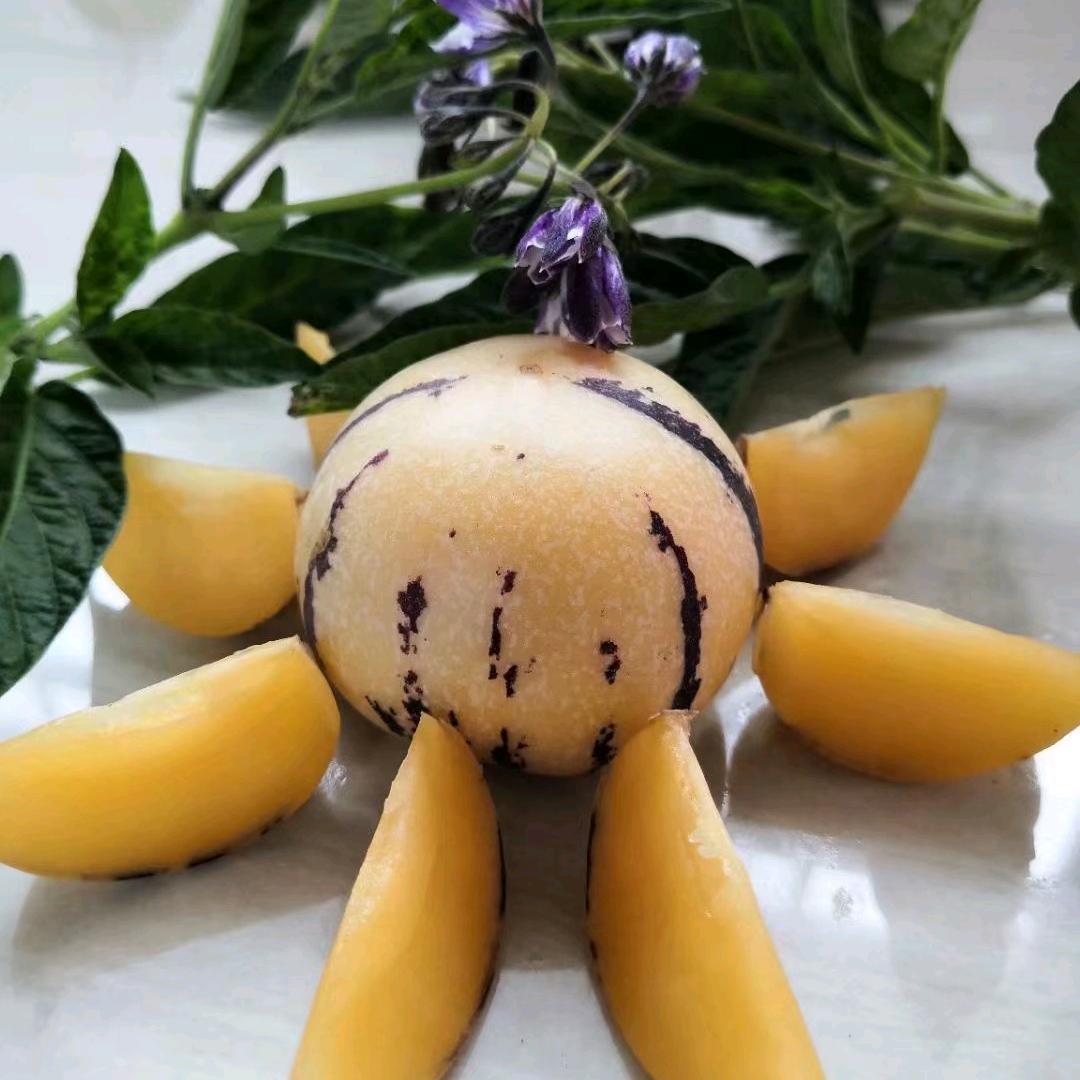 飞燕石林水果生活坊