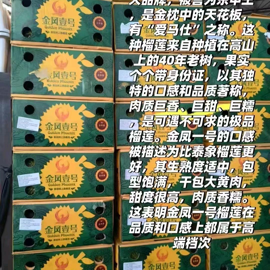 金风壹号江南批发老黑