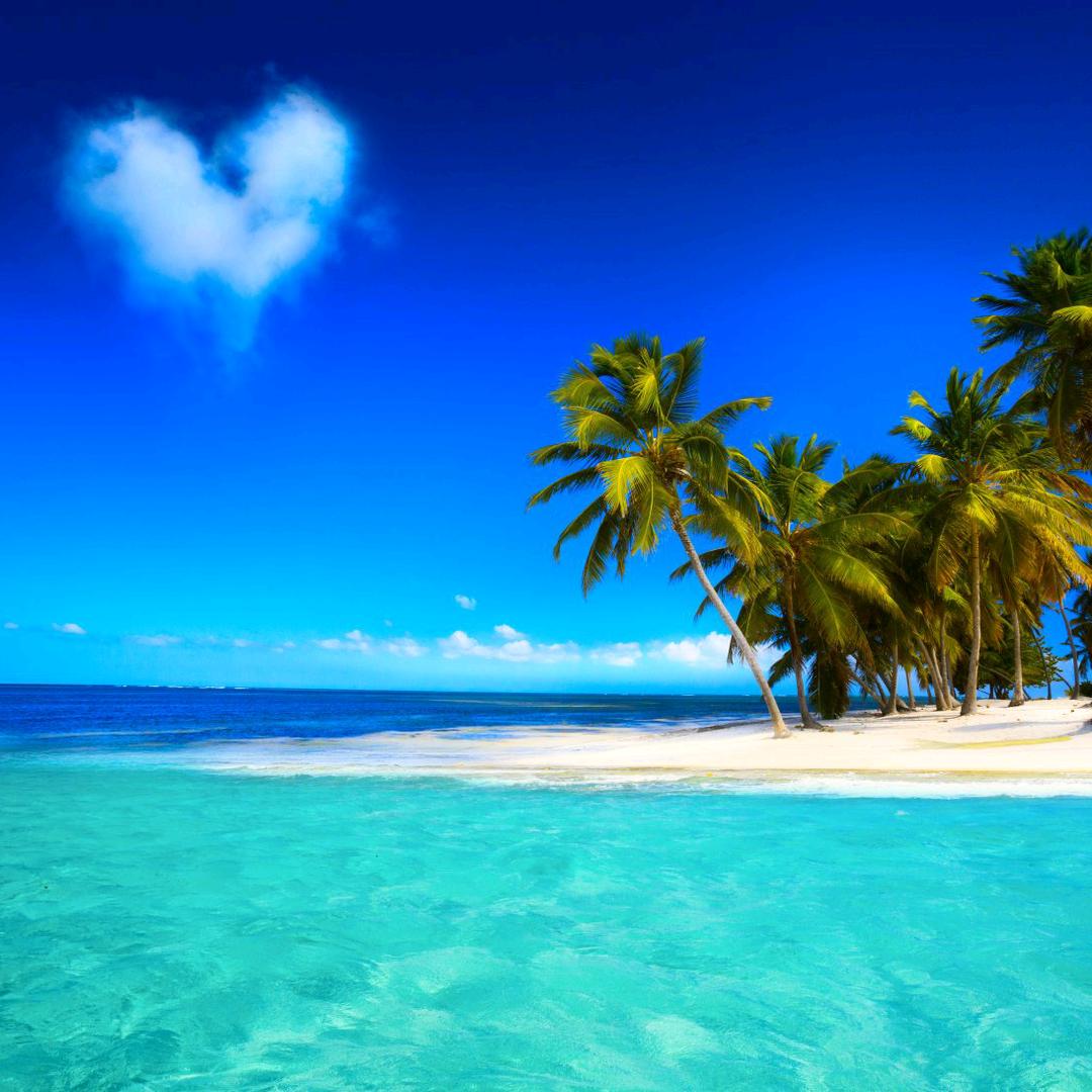 派雅，五金制品厂